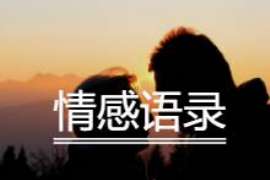 婚外情取证